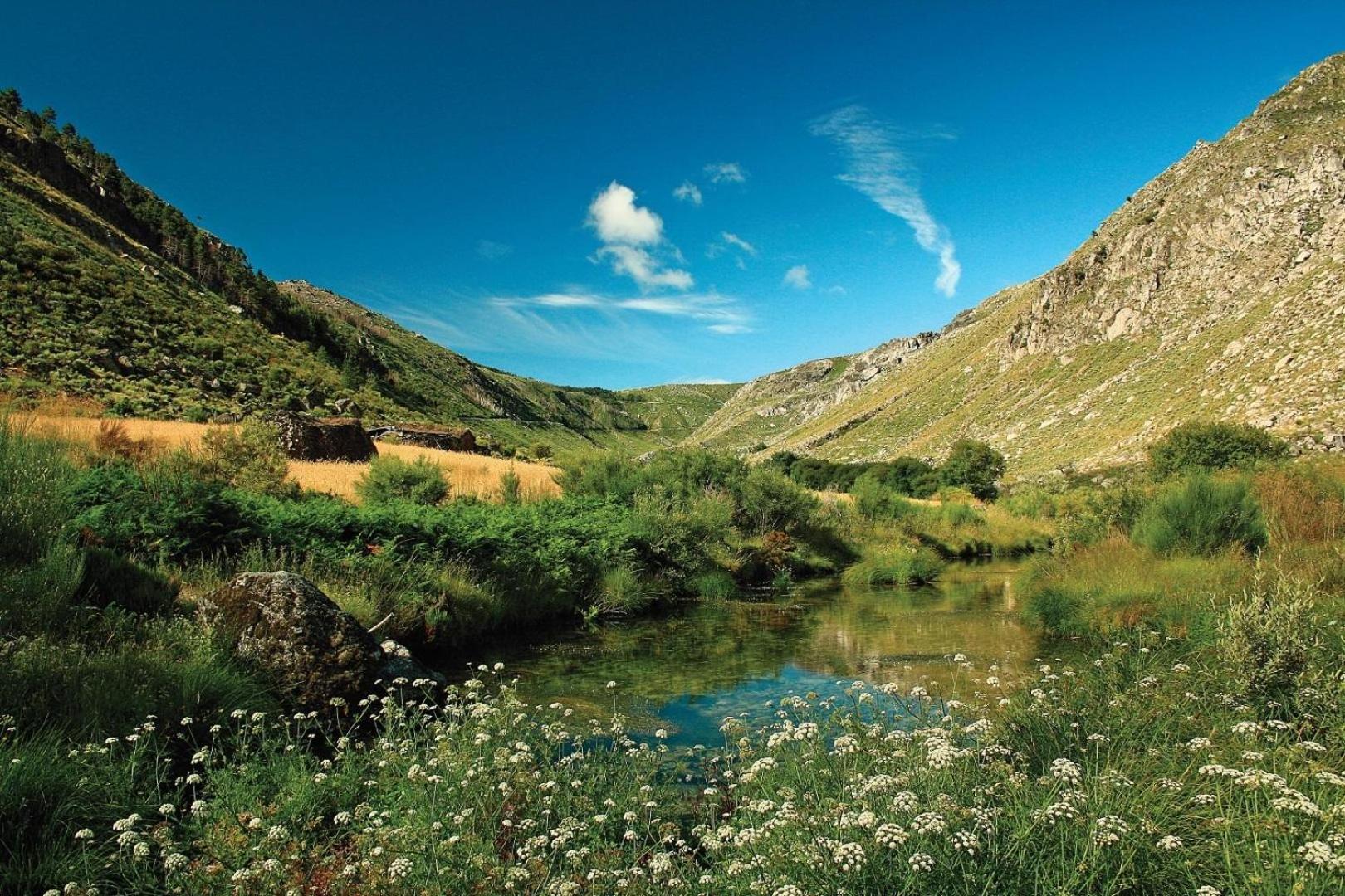 Quinta Da Estrela Villa Ponte Nova Kültér fotó